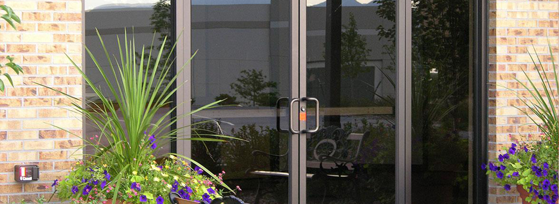 Commercial Glass Doors