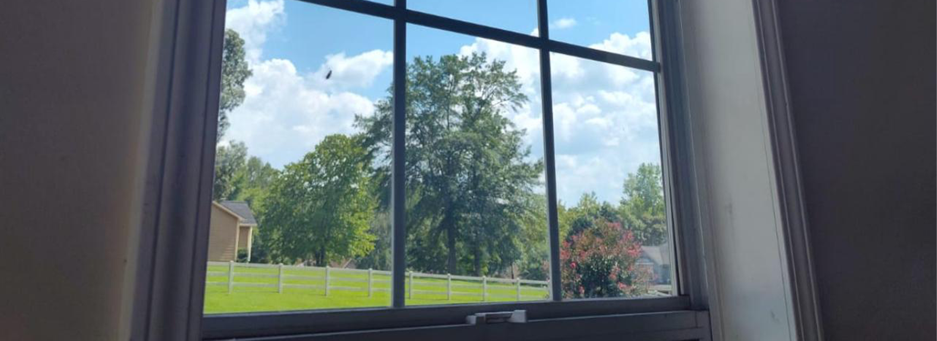 Glass Repair Services